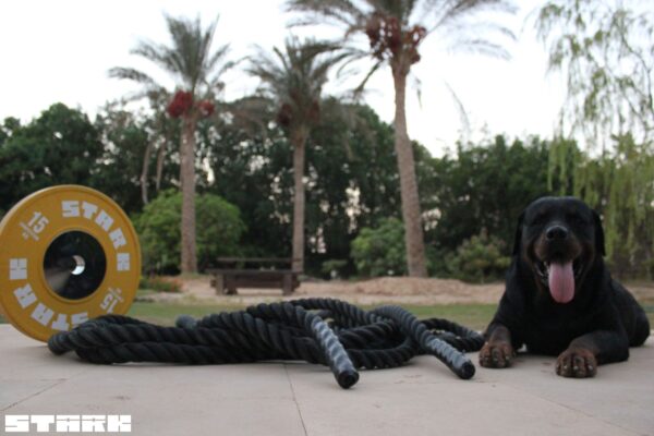 20200826_021302_battling2