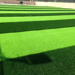 Artifical Turf - Image 2